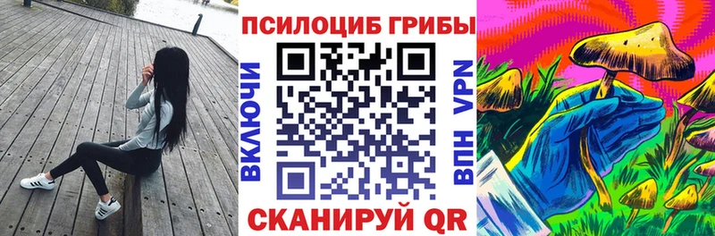 mega рабочий сайт  Ржев  Псилоцибиновые грибы Psilocybine cubensis 