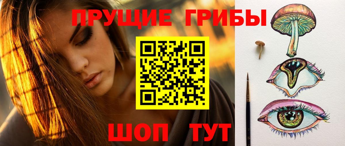 Галлюциногенные грибы GOLDEN TEACHER  Псилоцибиновые грибы мицелий  цены наркотик  Вход с VPN  Ржев 